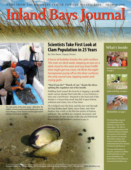 100922065-news-from-the-delaware-center-for-the-inland-bays-scientists-take-first-look-at-clam-population-in-25-years-fall-winter-2010-what-s-inside-by-chris-bason-deputy-director-a-burst-of-bubbles-breaks-the-calm-surface-inlandbays