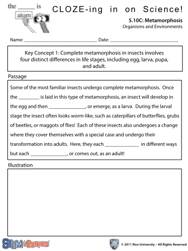 103531479-cloze-passage-metamorphosis-scis-lovejoyisd