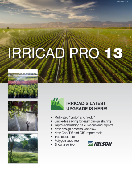 104209749-fillable-irricad-pro-form