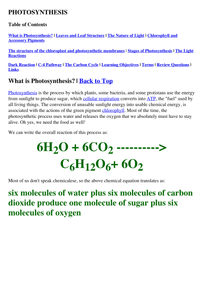 105575104-leaves-and-leaf-structure-the-nature-of-light-chlorophyll-and-greenmedicine