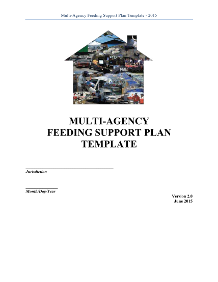 105741428-multi-agency-feeding-plan-template-disaster-feeding