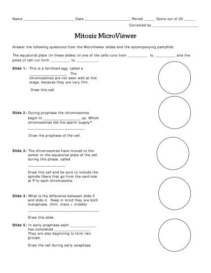 108730145-mitosis-microviewer-www2-mbusd