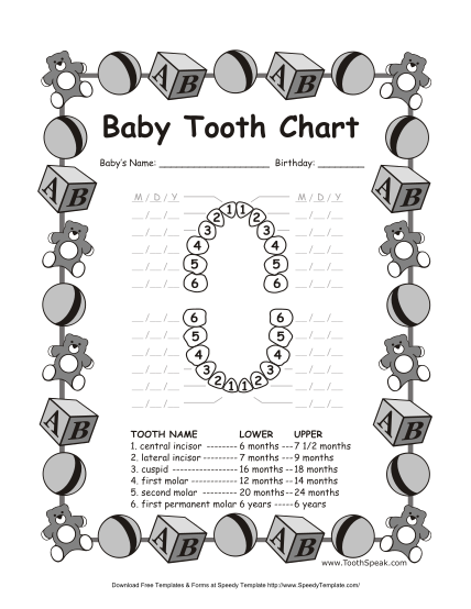 110733752-baby-tooth-chart