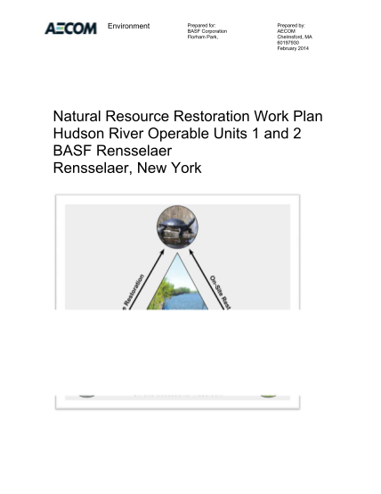 111504507-natural-resource-restoration-work-plan-hudson-river-operable-units-1-and-2-basf-rensselaer-rensselear-new-york-natural-resources-restoration-dec-ny