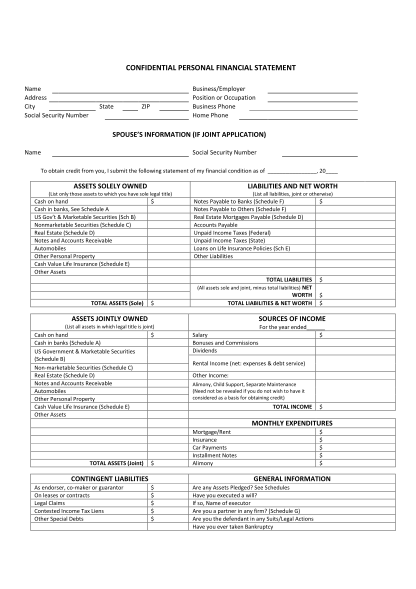116103671-team-personal-financial-statement-custom