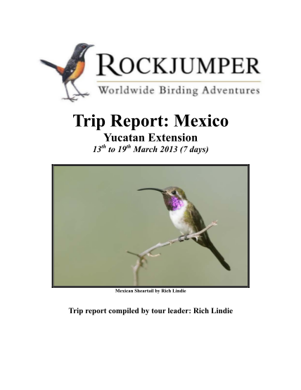 116199762-trip-report-mexico-rockjumper-birding-tours