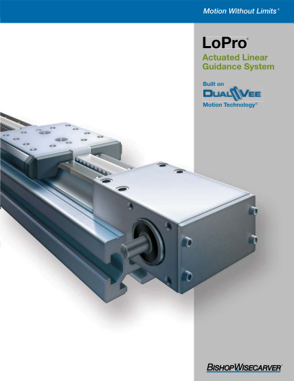 118861535-bishop-wisecarver-lopro-chain-driven-systems-motionusa-your-source-for-high-speed-and-high-precision