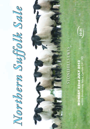 119358495-within-borderway-mart-carlisle-ca1-2rs-monday-22nd-july-2013-auctioneers-stonehills-ewes-northern-suffolk-sale-stonehills-f-lo-ck-male-champion-great-yorkshire-show-2013-ampamp-suffolksheep