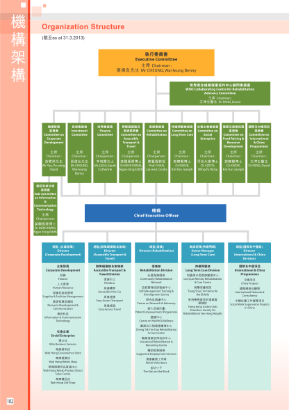 122948230-organization-structure-as-at-31-rehabsociety-org