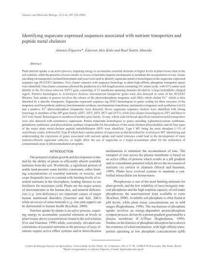 1246284-9444-identifying-sugarcane-expressed-sequences-associated---scielo-various-fillable-forms-scielo