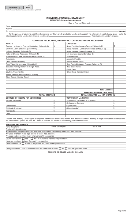 129364726-personal-financial-statement-form-for-minnesota