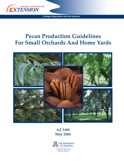 129395690-pecan-production-guidelines-for-small-orchards-and-home-yards-ag-arizona