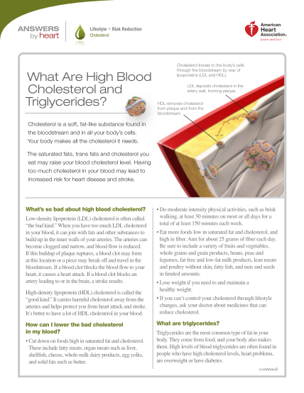 129457430-triglycerides