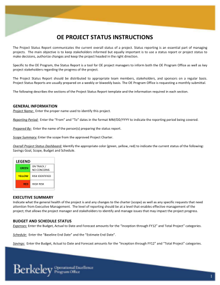 129517542-project-status-report-instructions-pdf