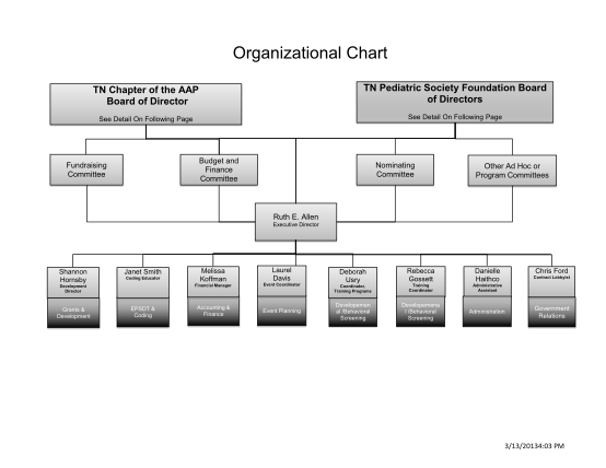 129595277-2013-tnaap-organizational-chart-pdf-tnaap