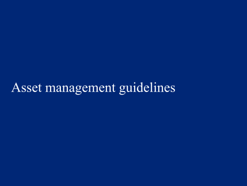 129603509-asset-management-guidelines-pdf
