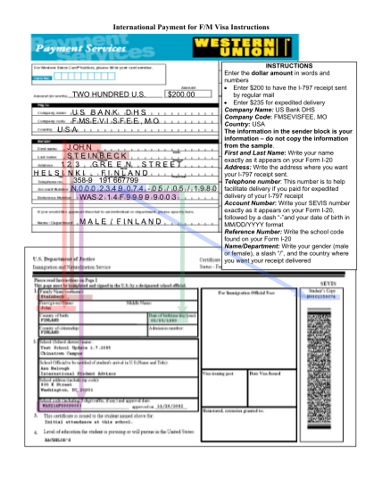 129675355-international-payment-for-fm-visa-instructions-two-ice-ice