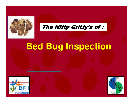 129720694-bed-bug-inspection-cdph-ca