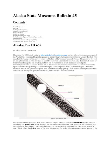 129741292-alaska-state-museums-bulletin-45-contents-fur-id-project-101-ask-asm-shaking-the-money-tree-spotlight-on-grant-in-aid-asm-on-the-road-conference-review-alaska-museums-in-the-news-professional-developmenttraining-opportunities-summer