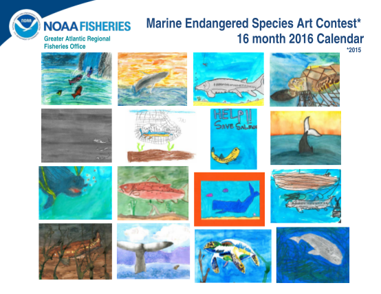 129766738-marine-endangered-species-art-contest-16-month-2016-calendar