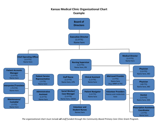 129770081-medical-clinic-organizational-structure