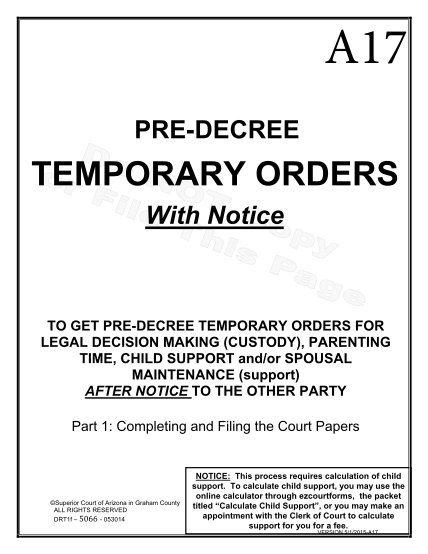 129892971-pre-decree-temporary-orders-with-notice-forms-only