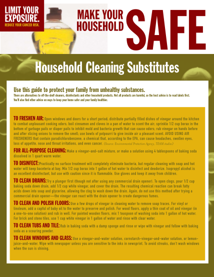 130010425-household-cleaning-substitutes-dhss-delaware