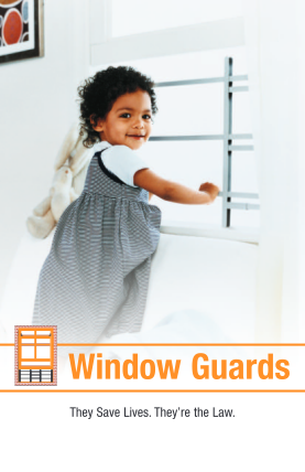 130105934-window-guards