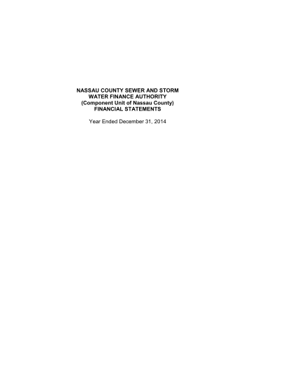 130109489-financial-statement-template-fs-template-for-report-processing-departments-nassaucountyny
