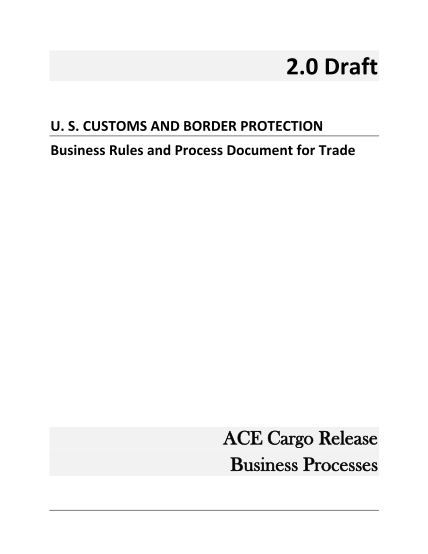 130110299-ace-cargo-release-business-process-document-us-customs-cbp