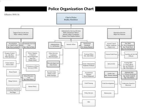 21 project organization chart doc page 2 - Free to Edit, Download ...
