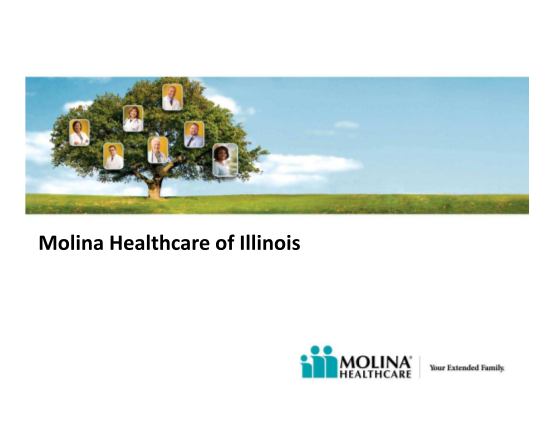 130344354-molina-healthcare-of-illinois-pdf-illinois