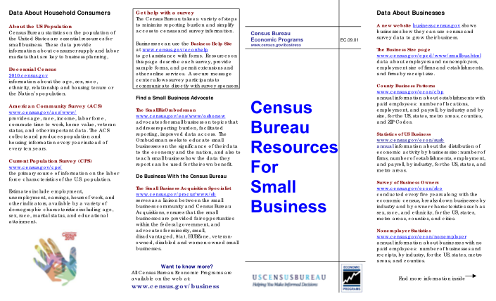 13046613-fillable-microsoft-brochure-on-government-and-small-businesses-form-census