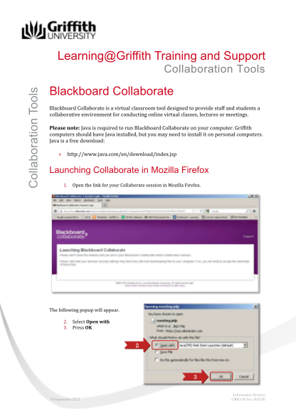 130506964-information-services-one-page-document-template