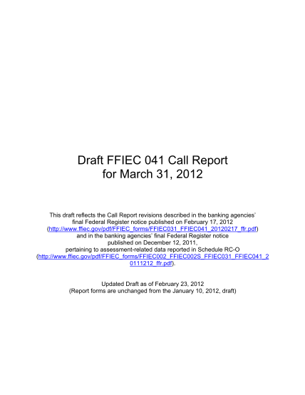 13327363-fillable-2013-march-31-041-printable-call-report-forms-ffiec