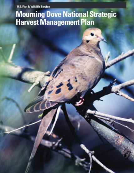 13351848-mourning-dove-national-strategic-harvest-mgmt-plan-8-16-05-finalindd-fws