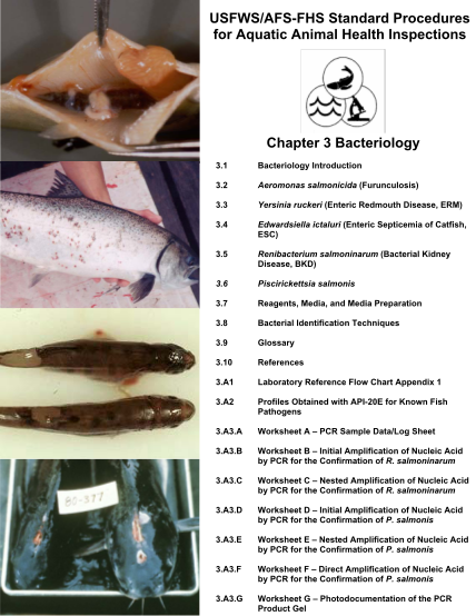 13352051-chapter-3-bacteriology-us-fish-and-wildlife-service-fws