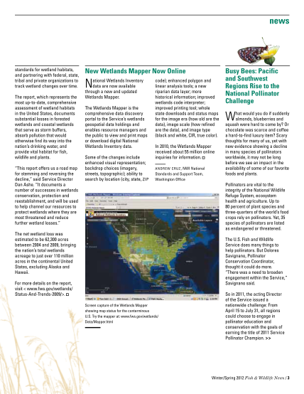 13387157-new-wetlands-mapper-now-online-busy-bees-pacific-and-fws