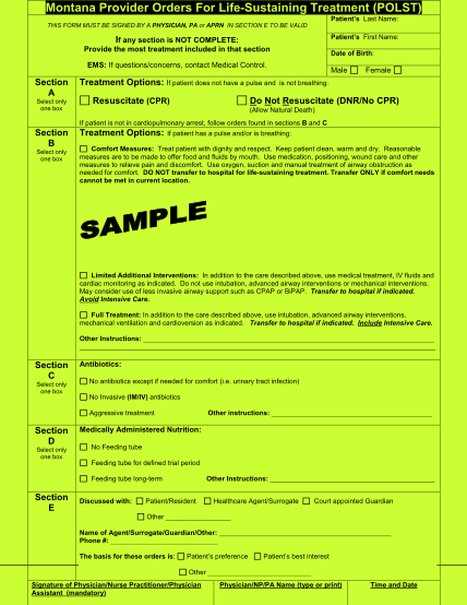 14352325-fillable-fillable-polst-form-bsd-dli-mt