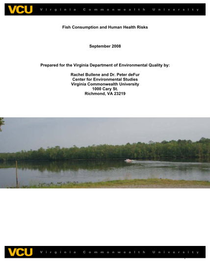 14662916-outline-of-literature-review-deq-virginia