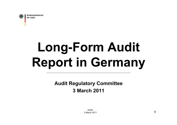 14991978-fillable-long-form-audit-report-germany-ec-europa