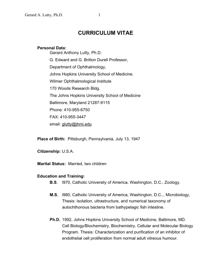 15395050-fillable-resume-curriculum-vitae-sample-example-template-job-submit-applicant-financial-planning-or-financial-planner-assistant-form-hopkinsmedicine