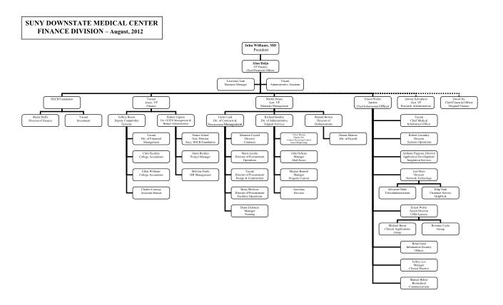 15399390-fillable-downstate-medical-center-organizational-diagram-form-downstate