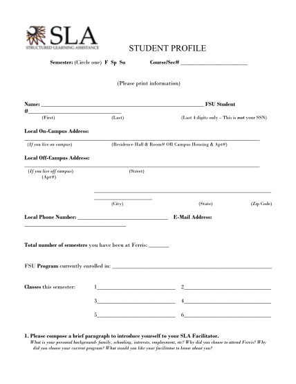 15814935-student-profile-format