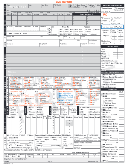 1666162-fillable-online-personnel-roster-form-ems-dhs-lacounty