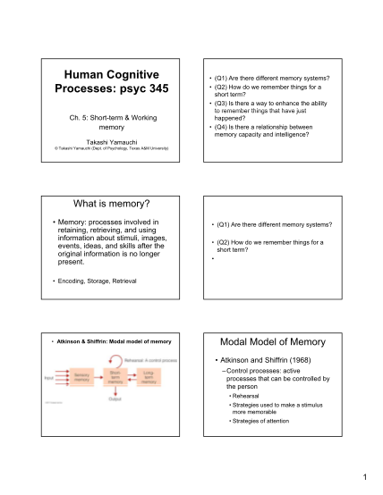 17266361-human-cognitive-processes-psyc-345-texas-aampm-university-tamu