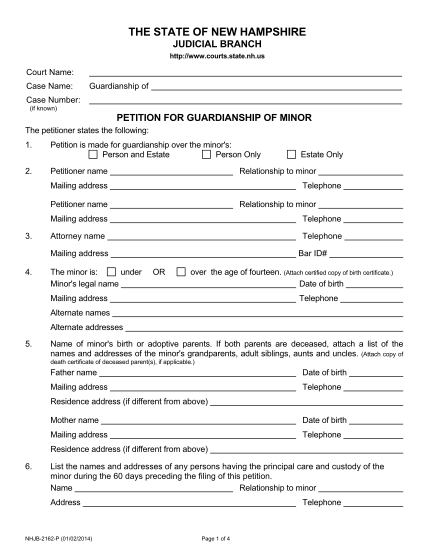 181645-nhjb-2162-p-petition-for-guardianship-of-minor-state-new-nh