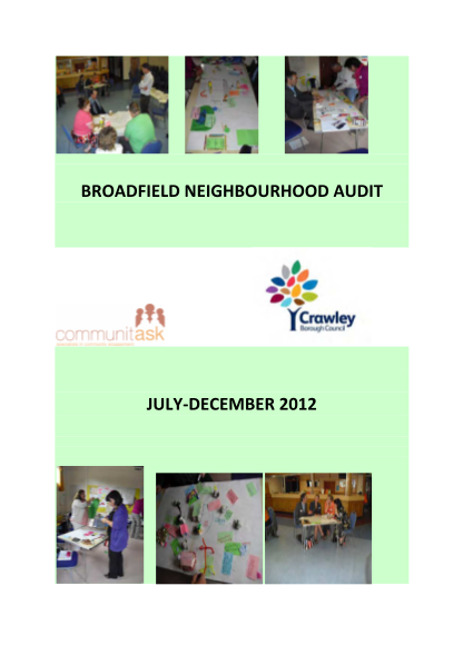 19764456-broadfield-neighbourhood-audit-feedback-reportdoc-market-research-report