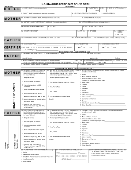 20689806-fillable-north-carolina-mothers-worksheet-for-childs-birth-certificate-form-cdc
