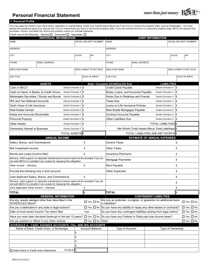211334-fillable-j-p-morgan-chase-personal-financial-statement-form-becu